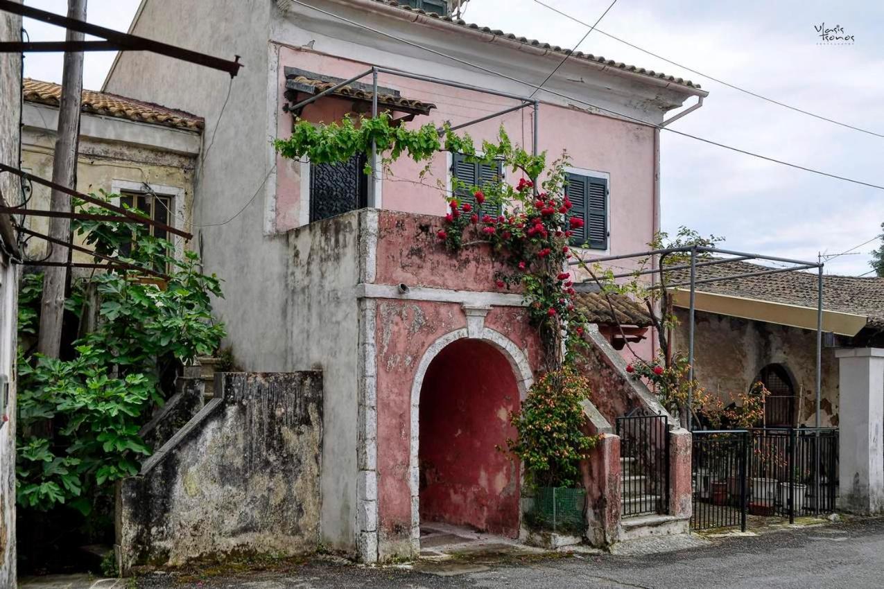 Ferienwohnung Alexandras Forest View Agios Prokopios  Exterior foto